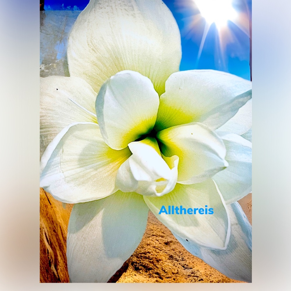 Whites….clean and fresh!